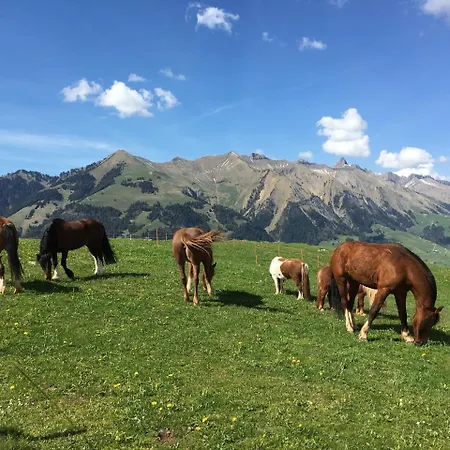 Chalet Mirabelle شقة *