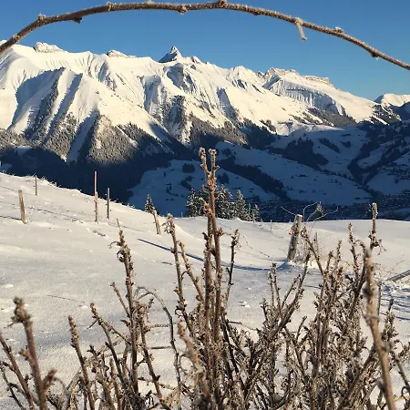 Chalet Mirabelle Apartmán