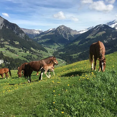 Chalet Mirabelle